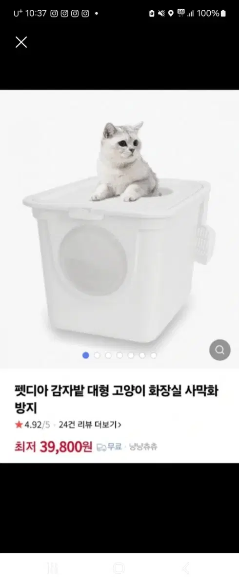 펫디아 탑도어 고양이화장실